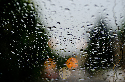 あいにくの雨