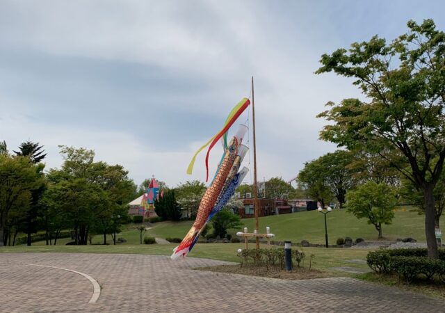 郡山市　カルチャーパーク様に鯉のぼり設置