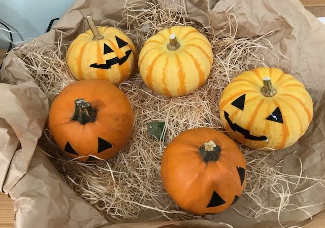 Happy Halloween ！
