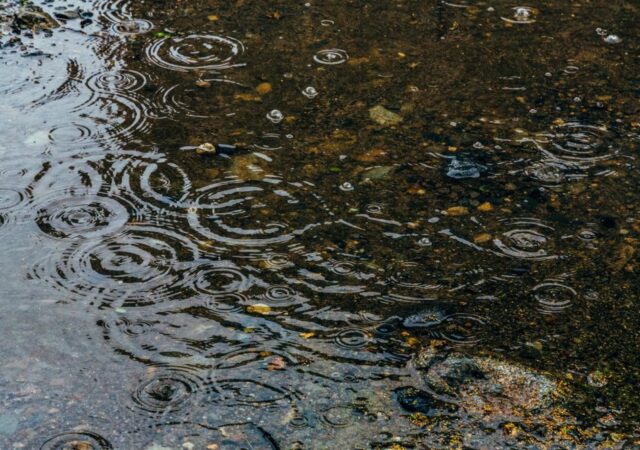 雨＿郡山市