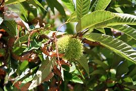 無垢材🌲　活用術　その５